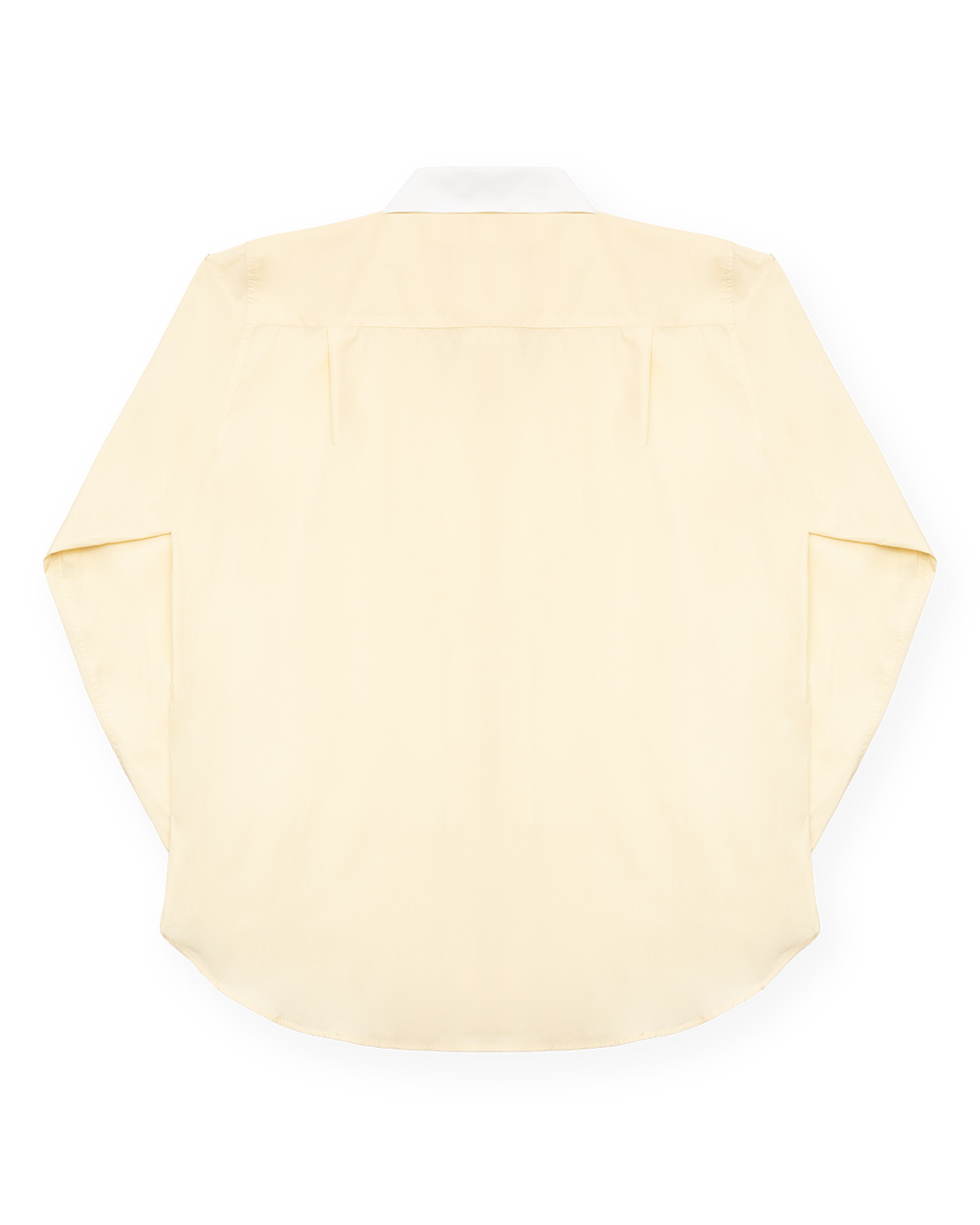 TWO-TONE AMBASSADOR