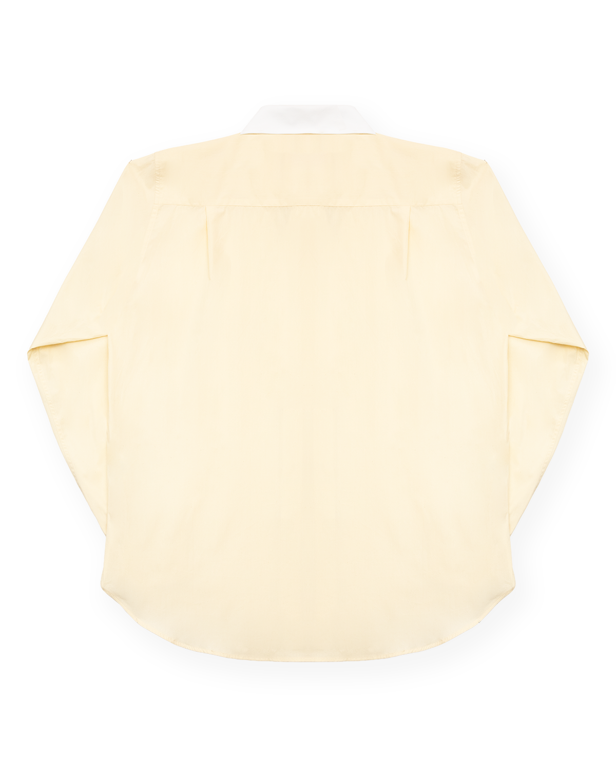 TWO-TONE AMBASSADOR