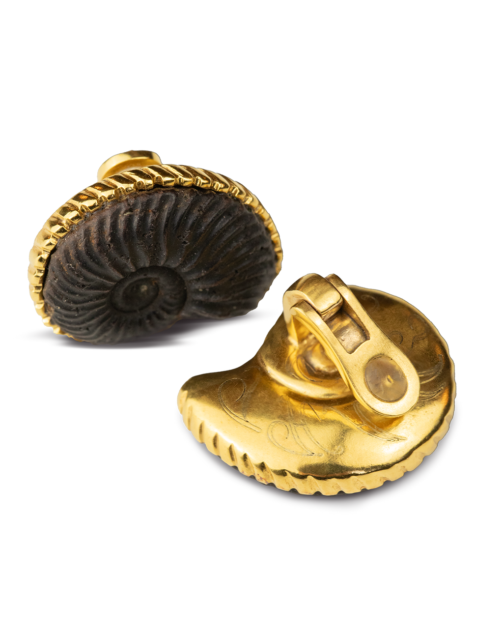 THE AMMONITE BIJOUX