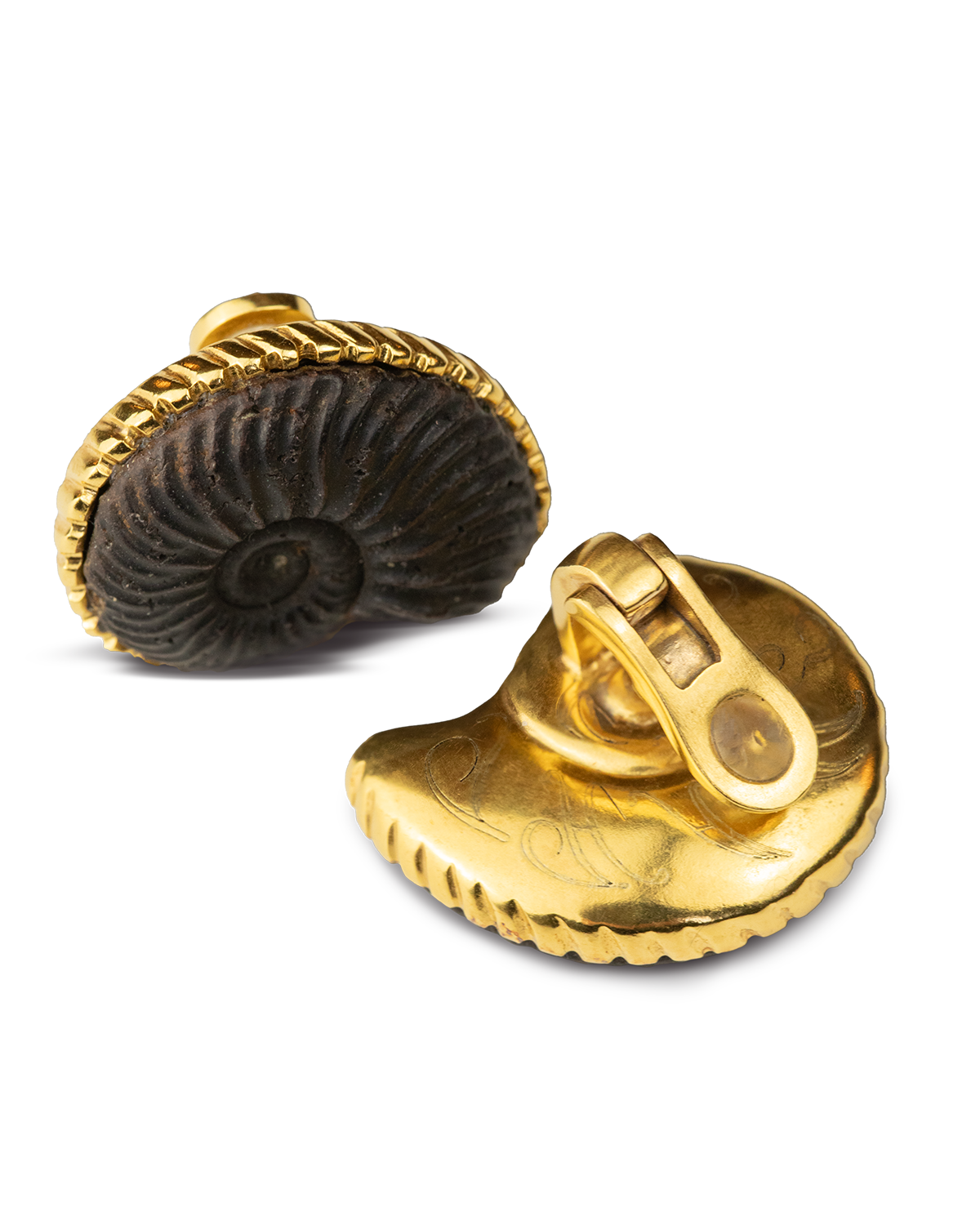 THE AMMONITE BIJOUX