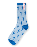 LABEL SOCKS ASTER