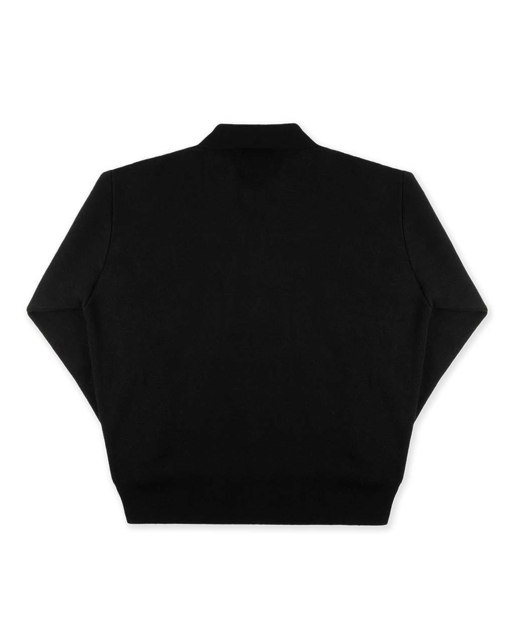 THE ANA NUVA POLO