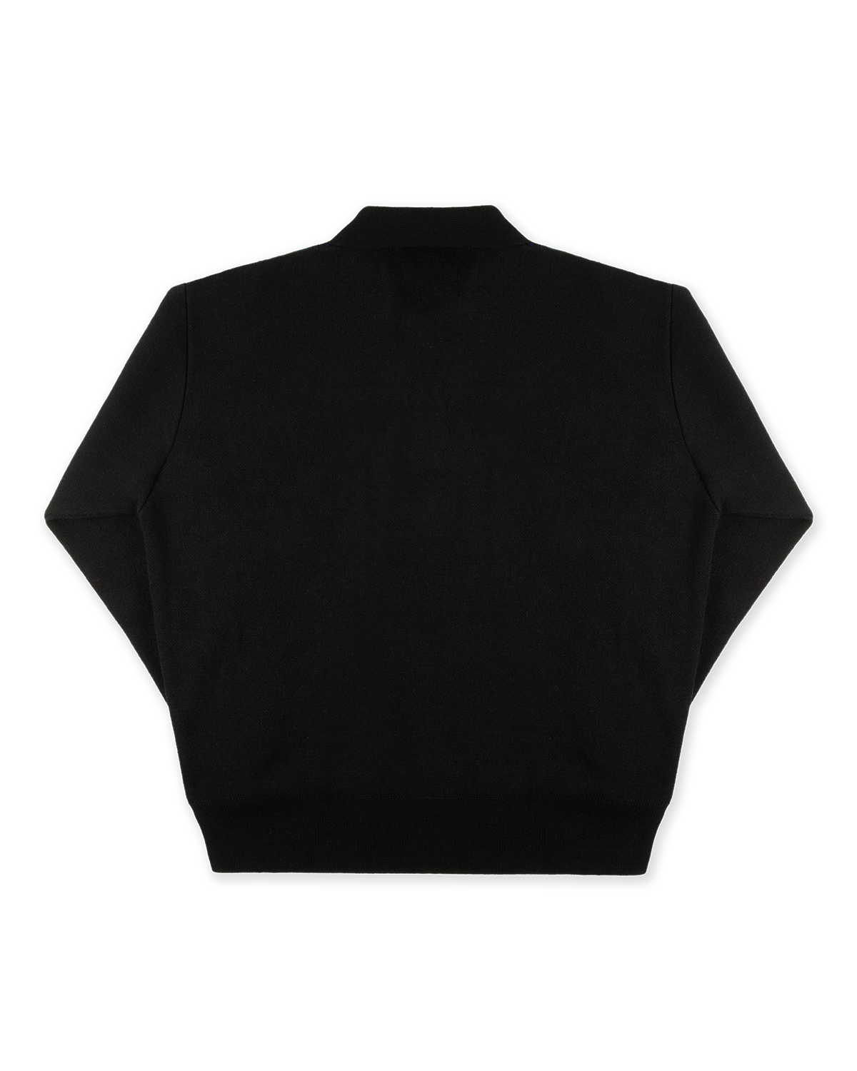 THE ANA NUVA POLO