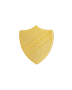 COAL SCUTTLER SHIELD