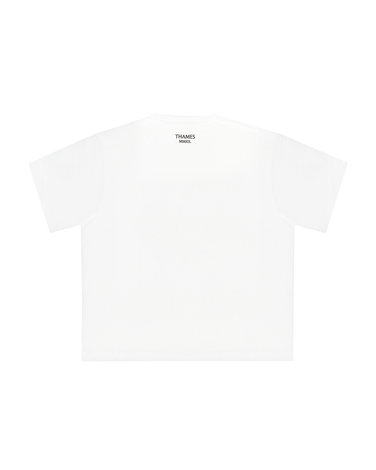 GLADIATORS PHOTO TEE