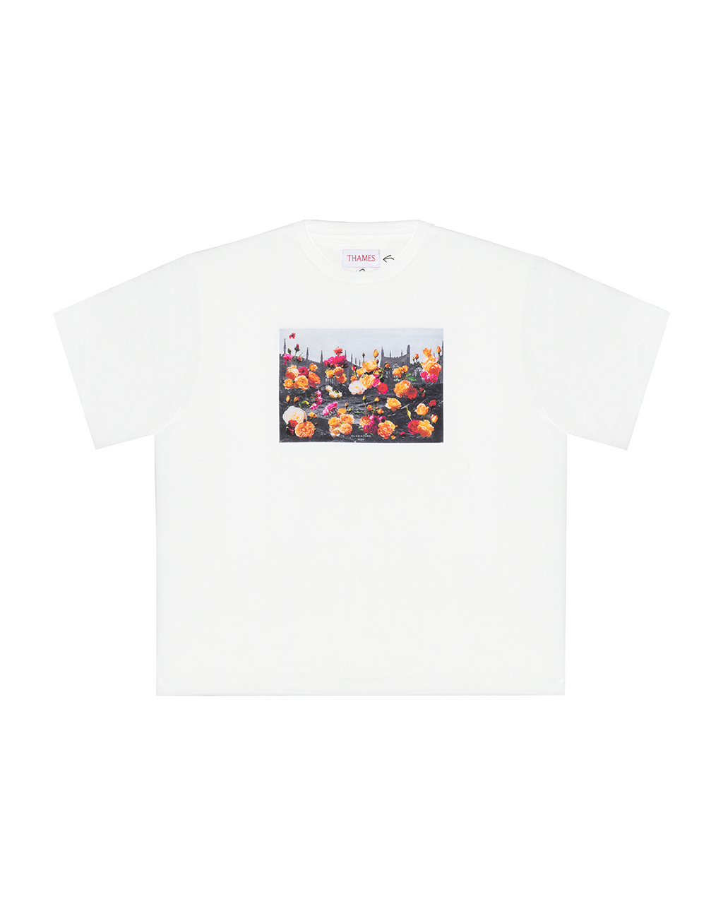 GLADIATORS PHOTO TEE