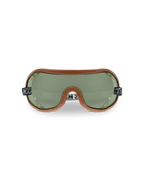 THE GOGGLES
