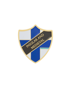 INSULAR AND MEDIEVAL