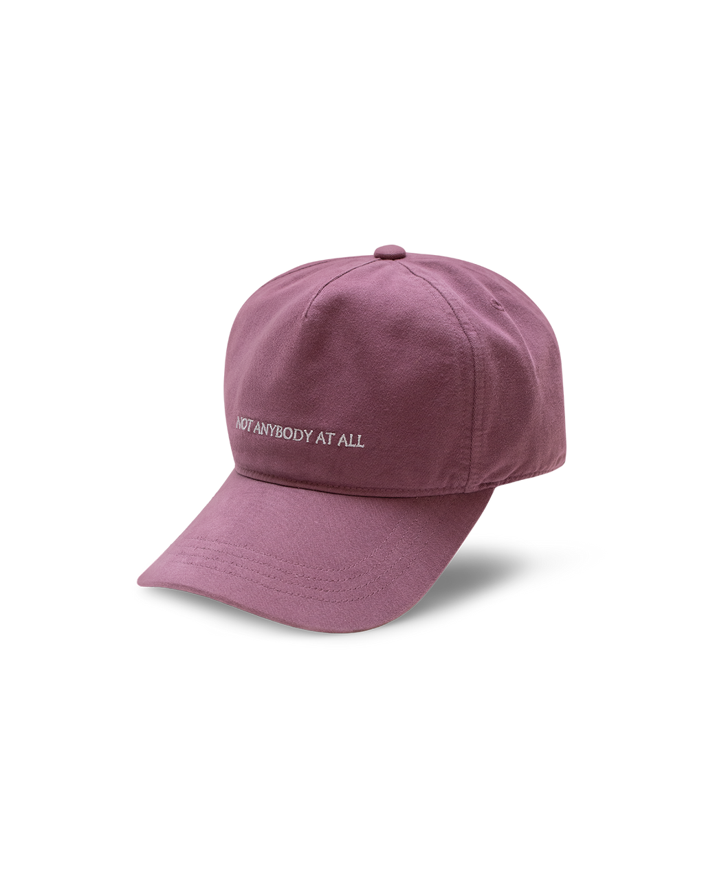 NOT ANYBODY AT ALL CAP