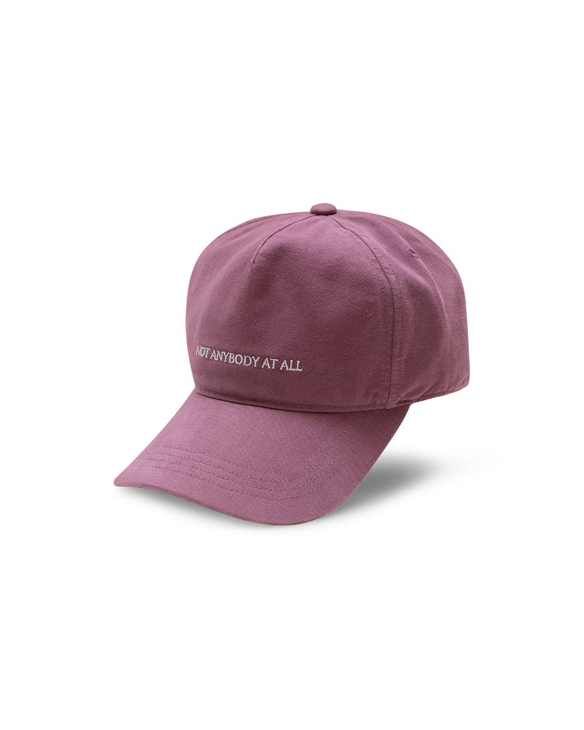 NOT ANYBODY AT ALL CAP