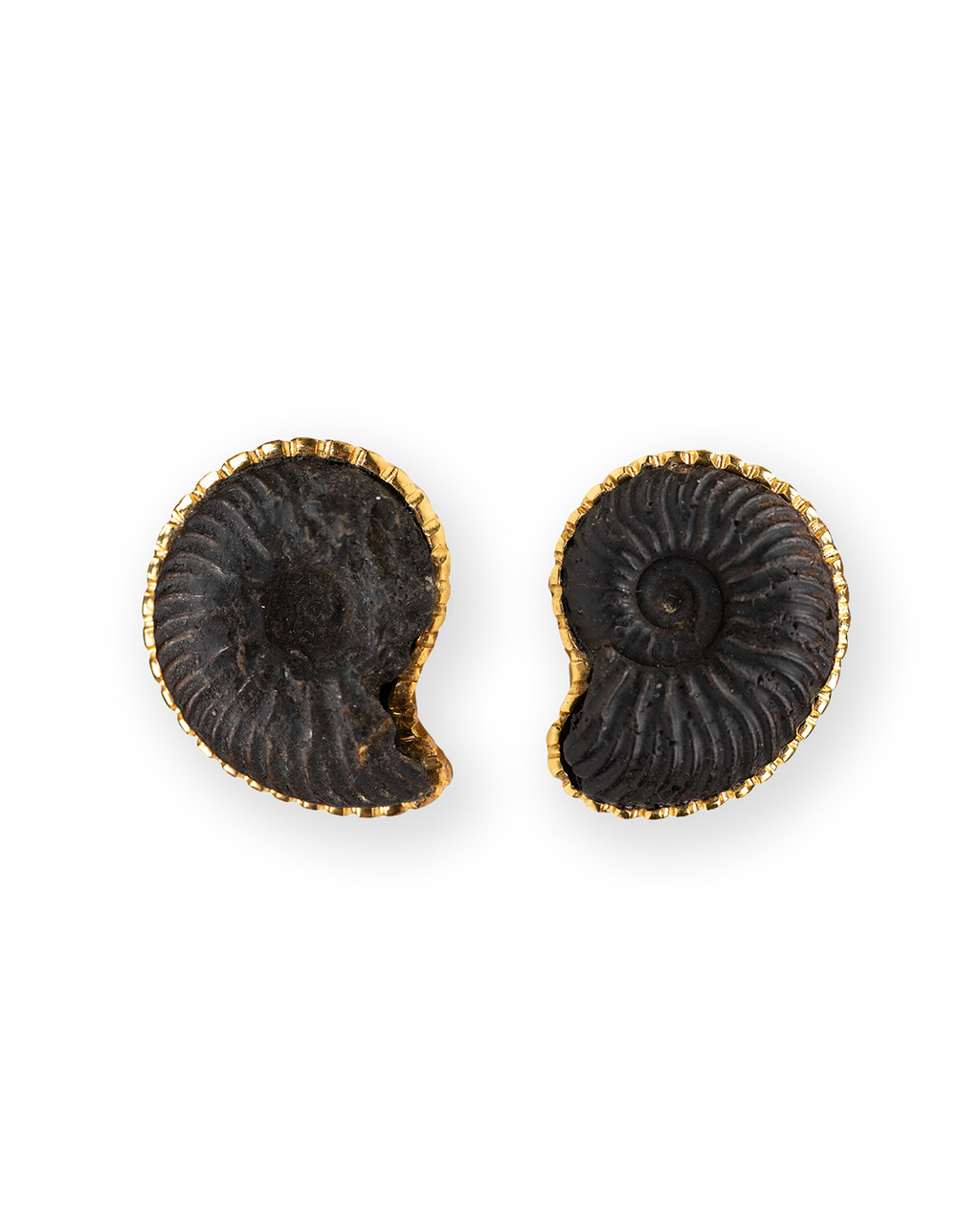 THE AMMONITE BIJOUX