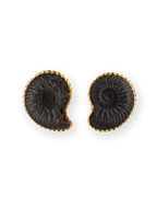 THE AMMONITE BIJOUX