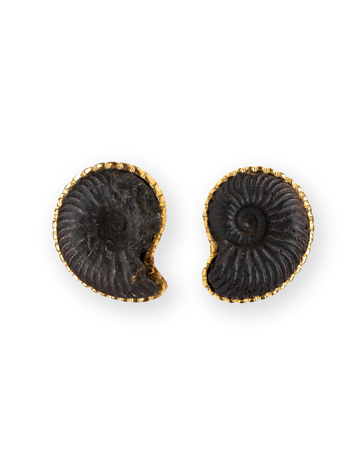 THE AMMONITE BIJOUX