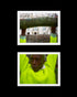 THE HI-VIS FANTASTIC