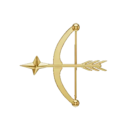 THE NAVIGATOR