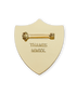 BILLY BIG BALLS SHIELD