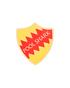 POOL SHARK SHIELD