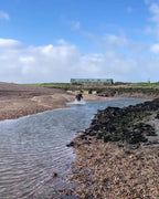 THAMES & HUNTER BOARD BAG